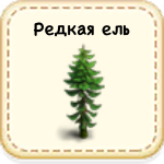 Редкая ель