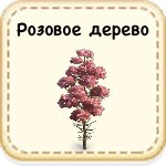 Розовое дерево 23